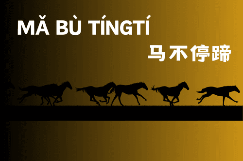 Mã bất đình đề