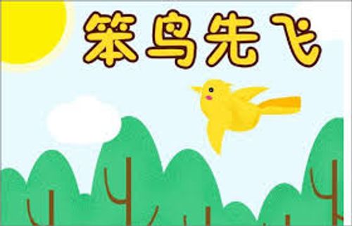 Bổn điểu tiên phi