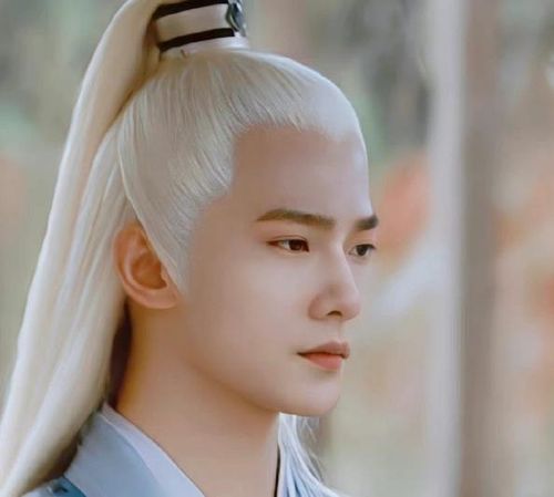 Hạc phát đồng nhan
