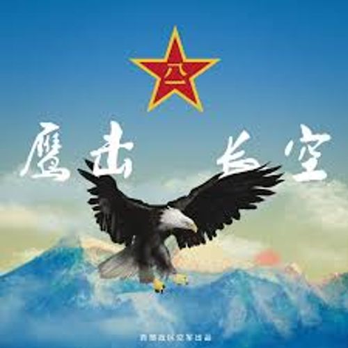 Ưng kích trường không