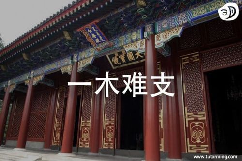 Nhất mộc nan chi
