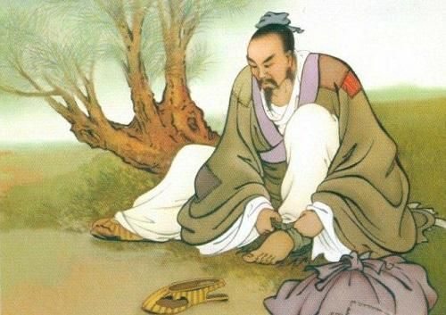 Nhất mao bất bạt