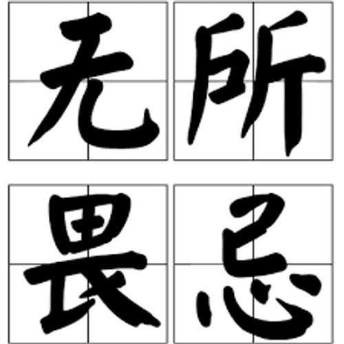 Vô sở úy kỵ
