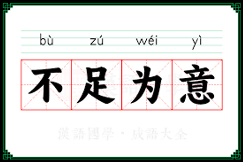 Bất túc vi ý