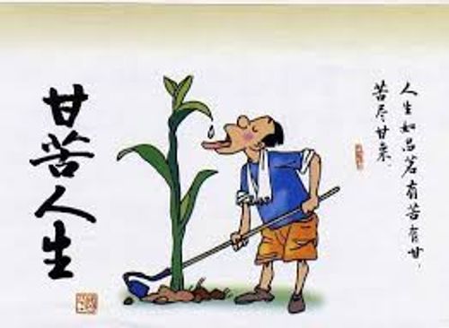 Khổ tận cam lai