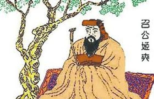 Cam đường di ái