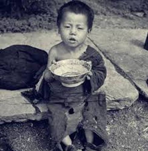 Cơ hàn giao bách