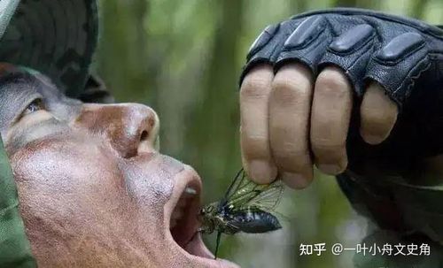 Sinh thôn hoạt bác