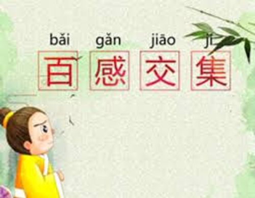 Bách cảm giao tập