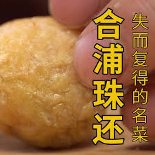 Hợp Phố châu hoàn