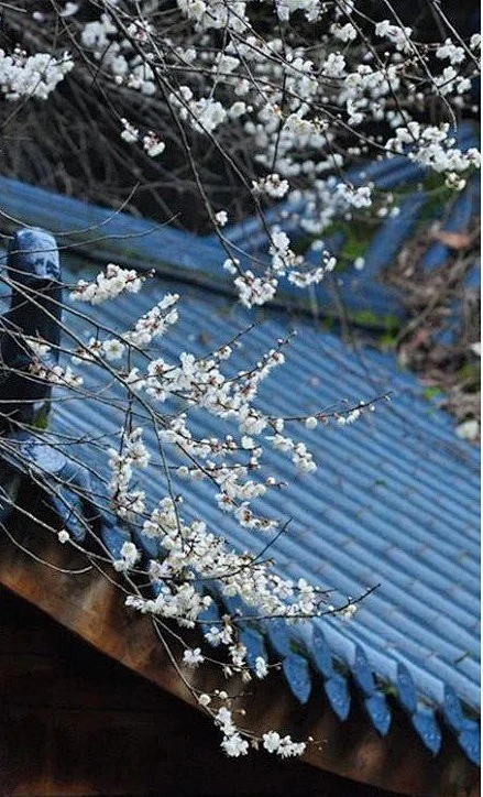 Hình ư ngôn sắc