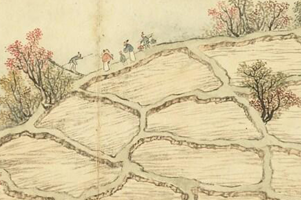 Kiêu qua chi huệ