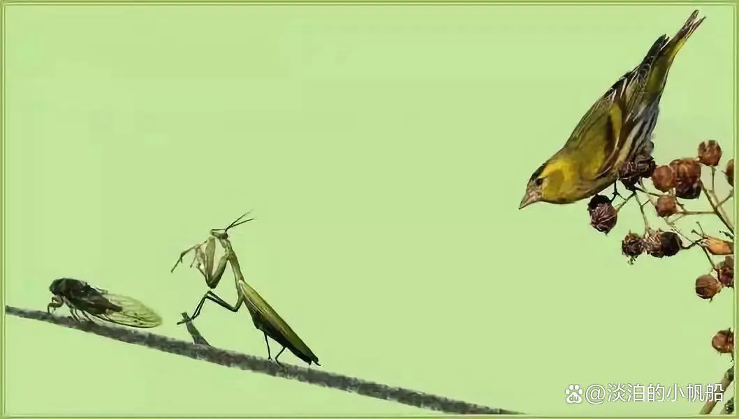 Đường lang bổ thiền, hoàng tước tại hậu